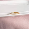 Anillo Rivier