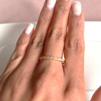 Anillo Rivier