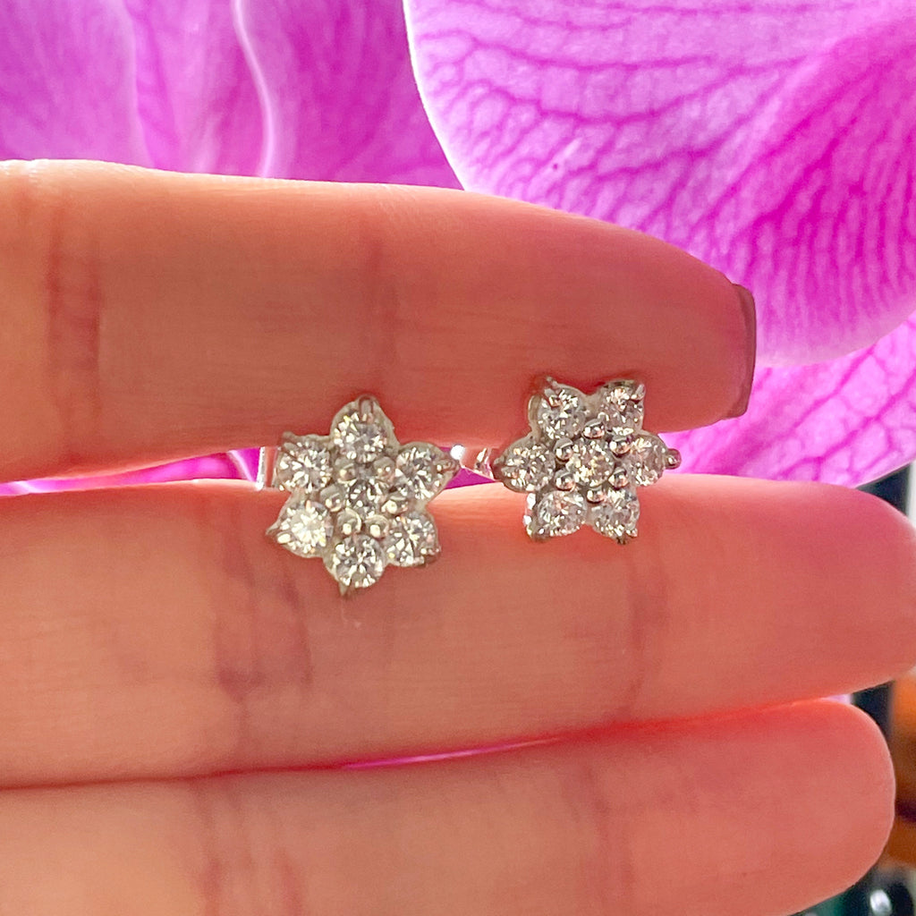 Aretes Rosetas