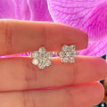 Aretes Rosetas