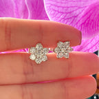 Aretes Rosetas