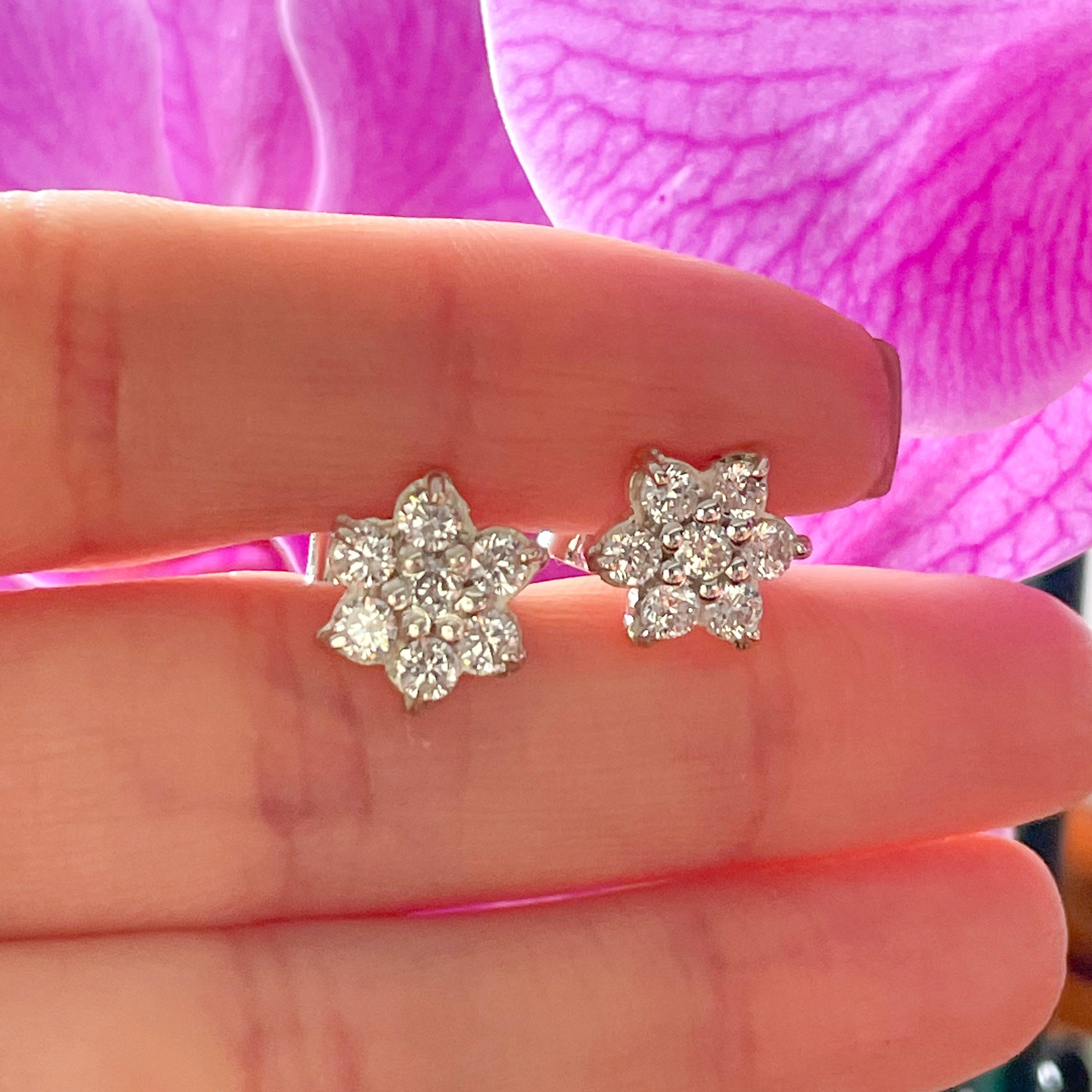 Aretes Rosetas