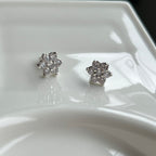 Aretes Rosetas
